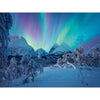 Ravensburger Jigsaw Puzzle Wenn Die Nordlicher Tanzen, 1500e.