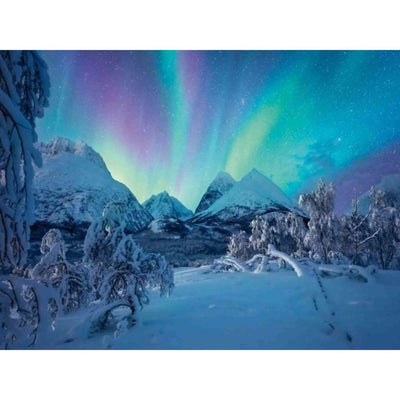 Ravensburger Jigsaw Puzzle Wenn Die Nordlicher Tanzen, 1500e.