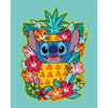 Ravensburger Creart Stitch peinture sur des chansons