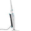Nettoyeur vapeur Leifheit 11910 cleantenso