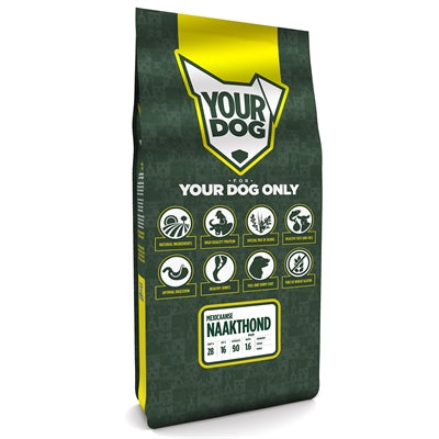 Yourdog Pup de chien nu mexicain