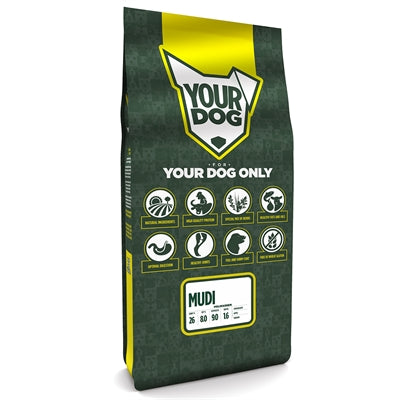 Yourdog mudi mature