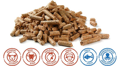 GEPRO TRO TRO 8559 Poux de bois fumée pressée Hêtre 5 kg