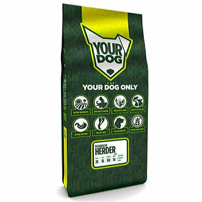 YourDog Picardic Shepherd Puppy