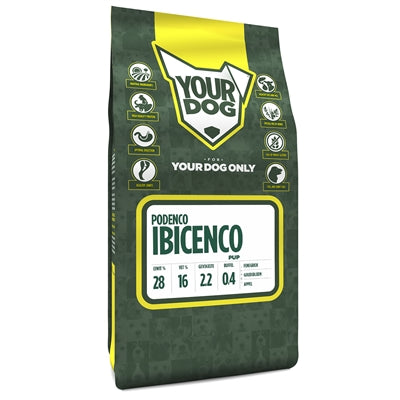 YourDog Podeco Ibicenco Puppy
