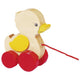 Canard animal migrateur goki