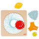 GOKI WOODEN SPIROGRAGE CEAT SET, 6DLG.