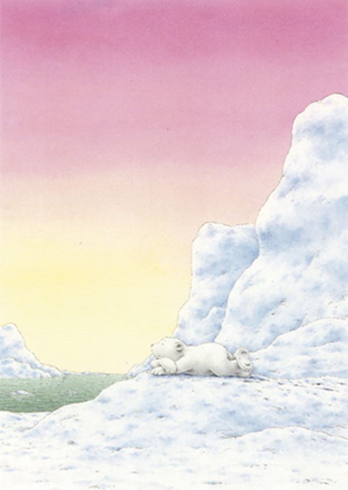 Carte postale illustrée 139 : petit ours polaire, à éviter