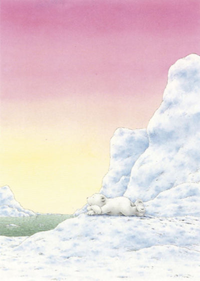 Carte postale illustrée 139 : petit ours polaire, à éviter