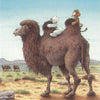 Carte postale illustrée 207 : ours polaire, balade à dos de chameau.