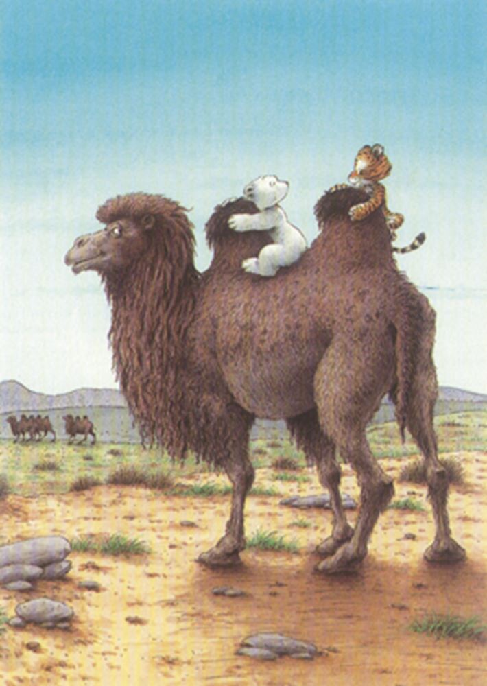 Carte postale illustrée 207 : ours polaire, balade à dos de chameau.
