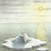 Carte postale illustrée 211 : ours polaire sous les tropiques.