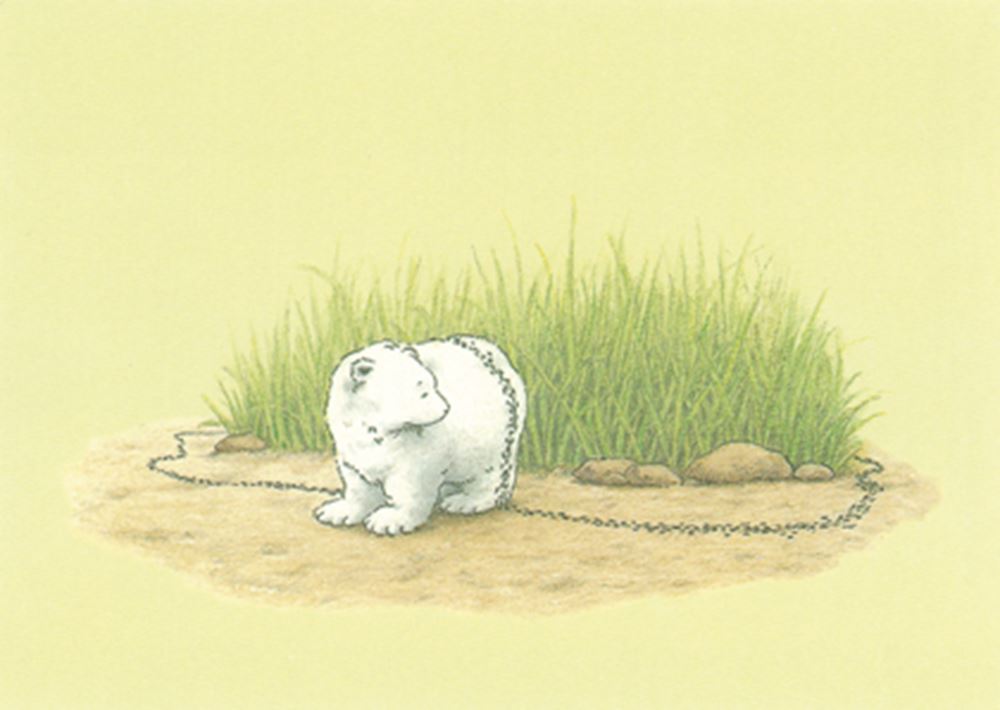 Carte postale illustrée 212 : ours polaire et fourmis.