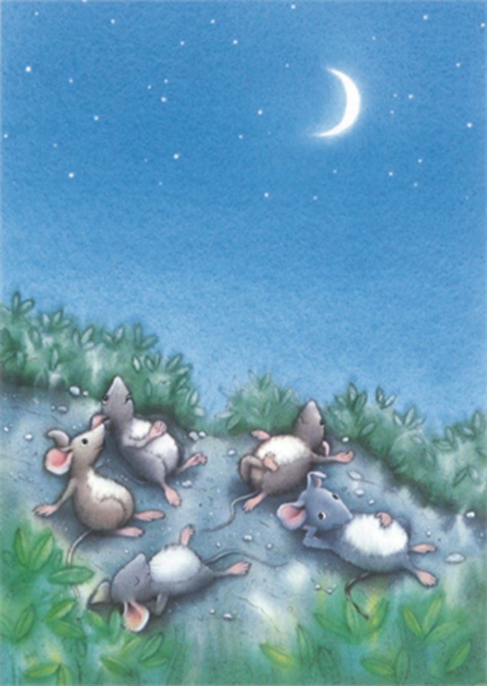 Carte postale illustrée 234 : max, nuit de lune. (10