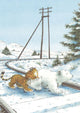Carte postale illustrée 257 : le petit ours polaire sait
