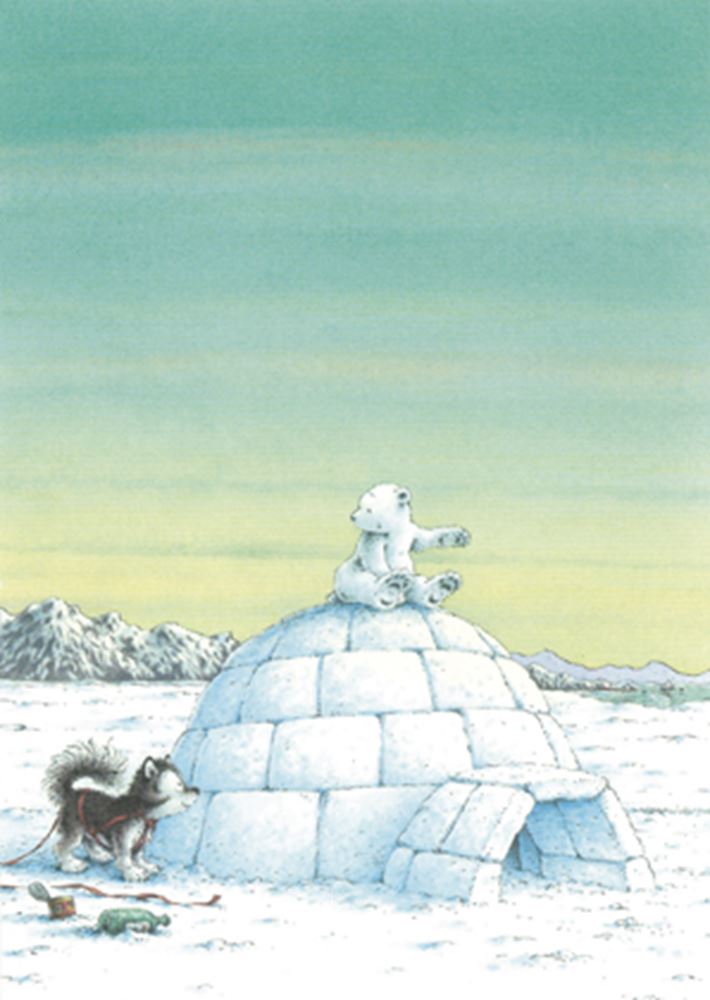 Carte postale illustrée 262 : petit ours polaire et n