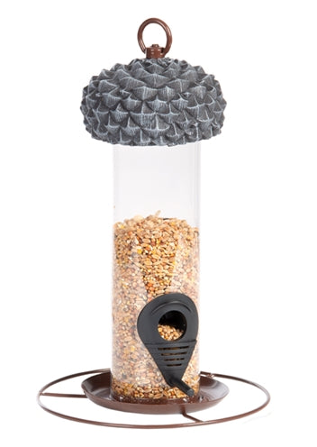 Meilleur pour les oiseaux alimentant le silo gland pour les graines