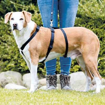 Le harnais de chien Trixie reste noir