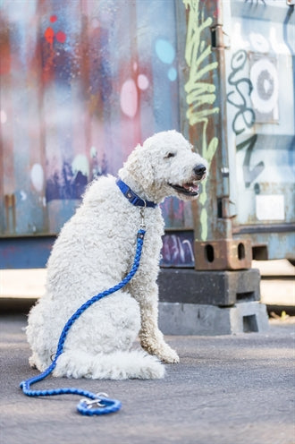 Trixie Dog Leash Cavo Ajustement Indigo Royal Blue