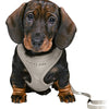 Trixie Junior Puppy Economies Soft with Riem Grey clair