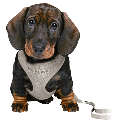 Trixie Junior Puppy Economies Soft with Riem Grey clair