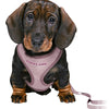 Trixie Junior Puppy Eigen Soft with Riem Lila