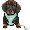 Trixie Junior Puppy Economies Soft with Riem Mintgroen