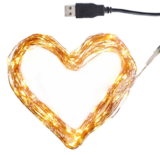 Westcott Westcott AC-Cl10001 Clauss LED GARLAND 100 LED # 039; S 10 m blanc chaud blanc chaud