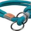 Chien de collier de trixie soit nordique à moitié gris clair à l'essence