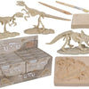 Ensemble d'excavation Dsp, squelette de dinosaure, 4.5