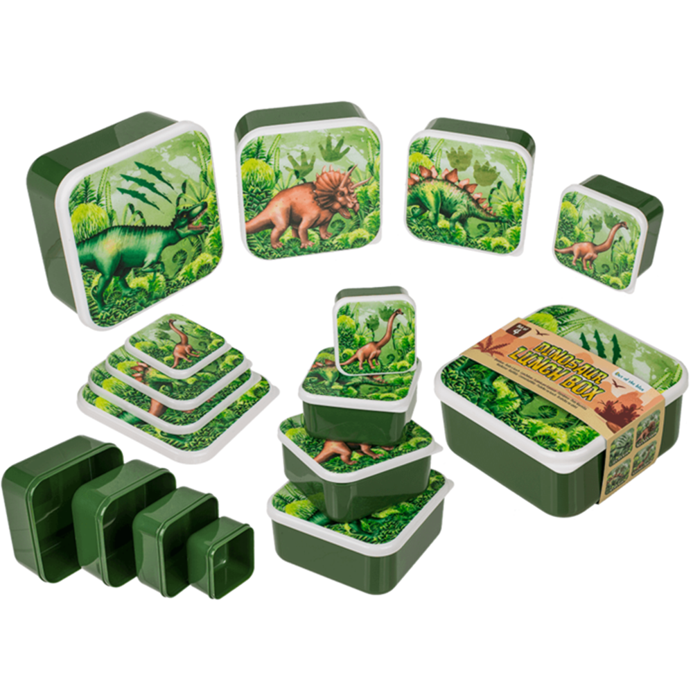 Boîte à lunch, dinosaure, lot de 4.