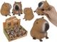 DSP presse capybara. 12 pièces en dsp.