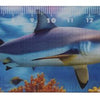 Règle Dsp animaux marins, 21 cm. 12 essieux