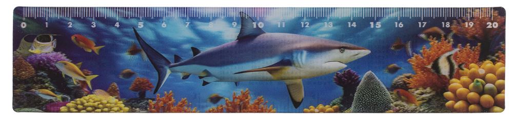 Règle Dsp animaux marins, 21 cm. 12 essieux