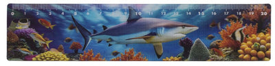 Règle Dsp animaux marins, 21 cm. 12 essieux