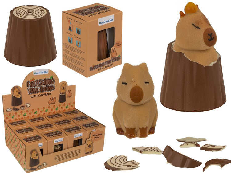 Capybara de croissance DSP. 12 pièces exposées.