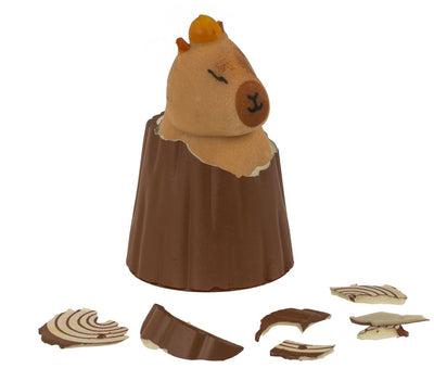 Capybara de croissance DSP. 12 pièces exposées.