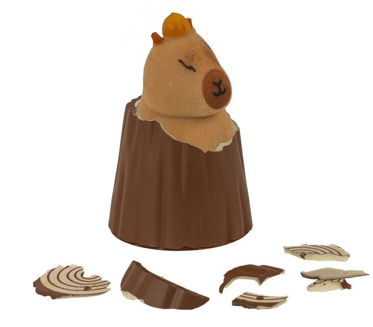 Capybara de croissance DSP. 12 pièces exposées.