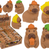 Gommes Dsp capybara. 4 essieux 24 pièces en