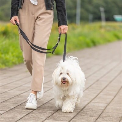 Trixie Dog Leash Réglable Two-Player Black