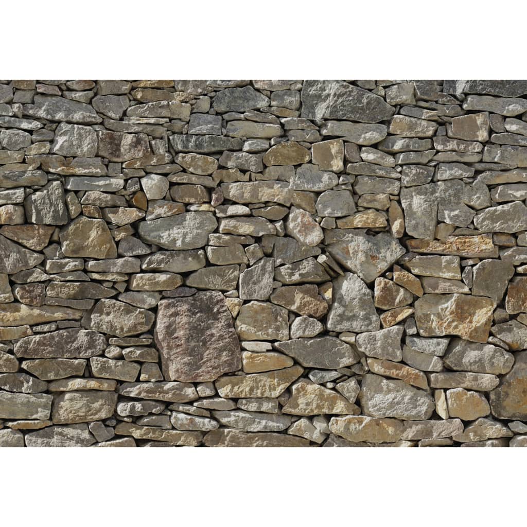 Komar Komar Photo Fond d'écran Mur en pierre 368x254 cm 8-727