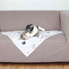 Couverture Trixie Mimi Gris clair