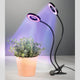 Xavax Xavax LED Plant Lamp Circle