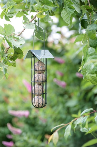 Porte-ampoule Trixie Mezen avec toit 4 boules de noir en métal