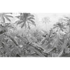 Komar Komar Photo Fond d'écran Amazonia noir et blanc 400x250 cm