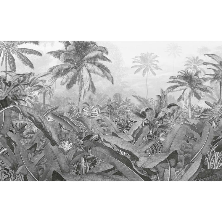 Komar Komar Photo Fond d'écran Amazonia noir et blanc 400x250 cm