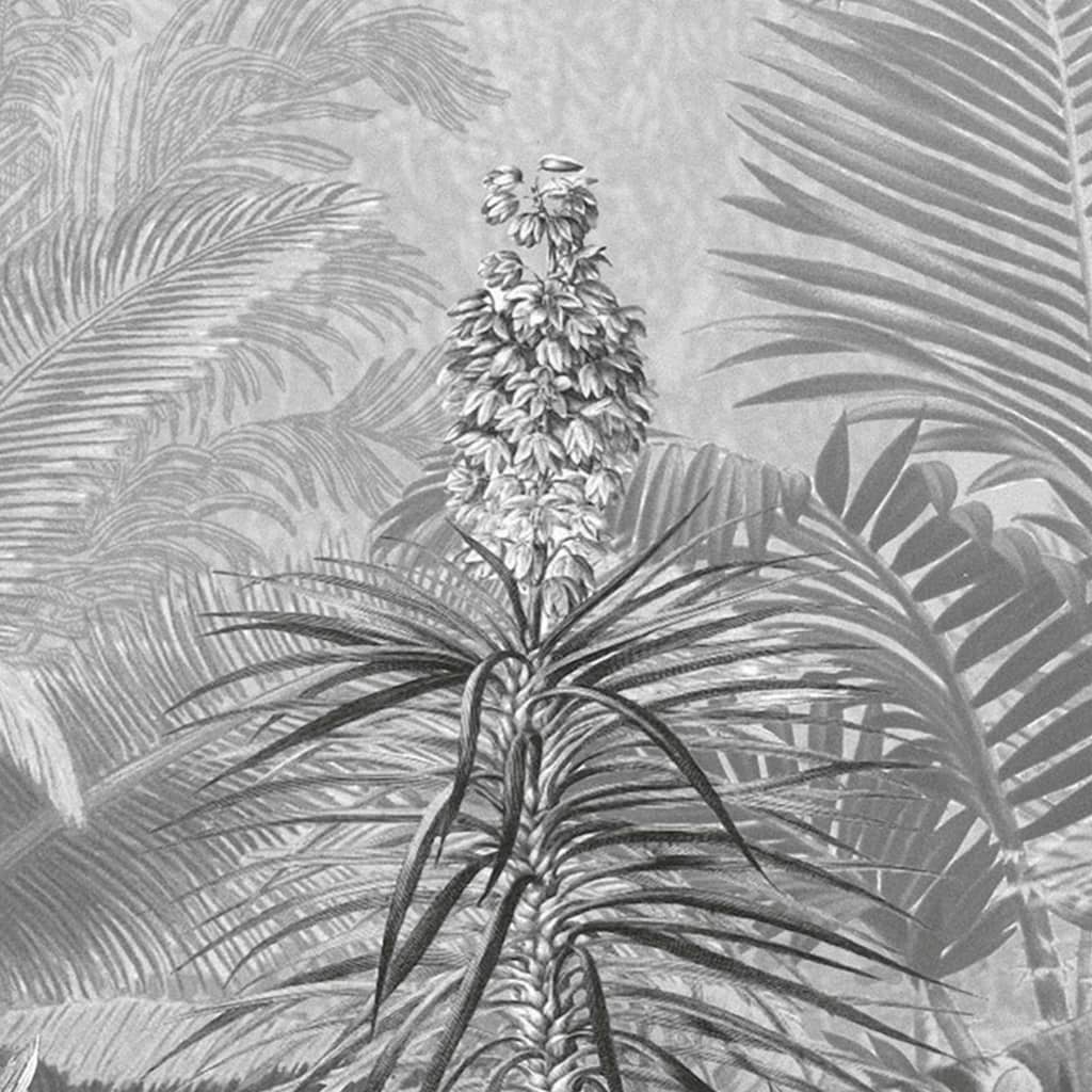 Komar Komar Photo Fond d'écran Amazonia noir et blanc 400x250 cm