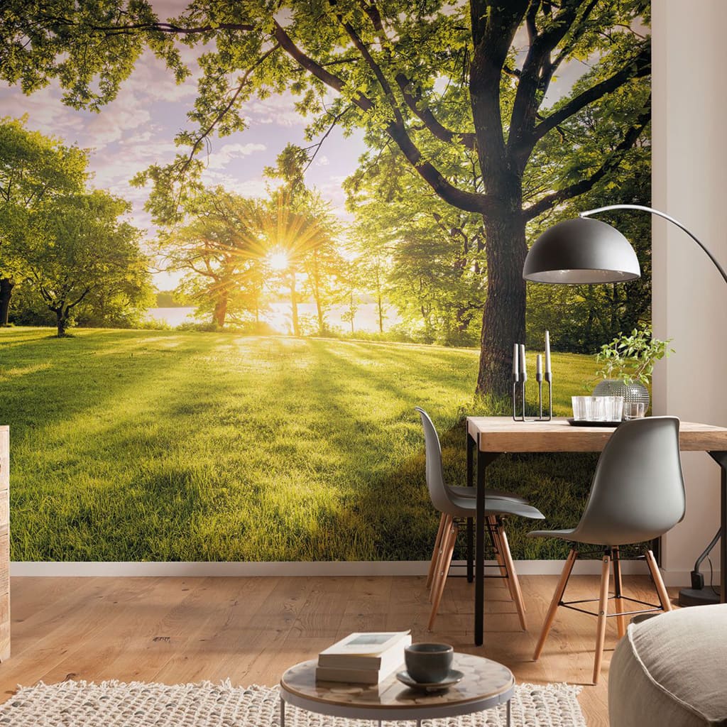 Komar Komar Photo Fond d'écran Golden Moment 400x250 cm