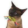 Cattages Catnip Dental Health mâcher