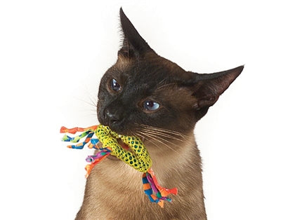 Cattages Catnip Dental Health mâcher